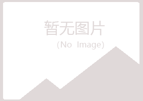 山西盼山会计有限公司